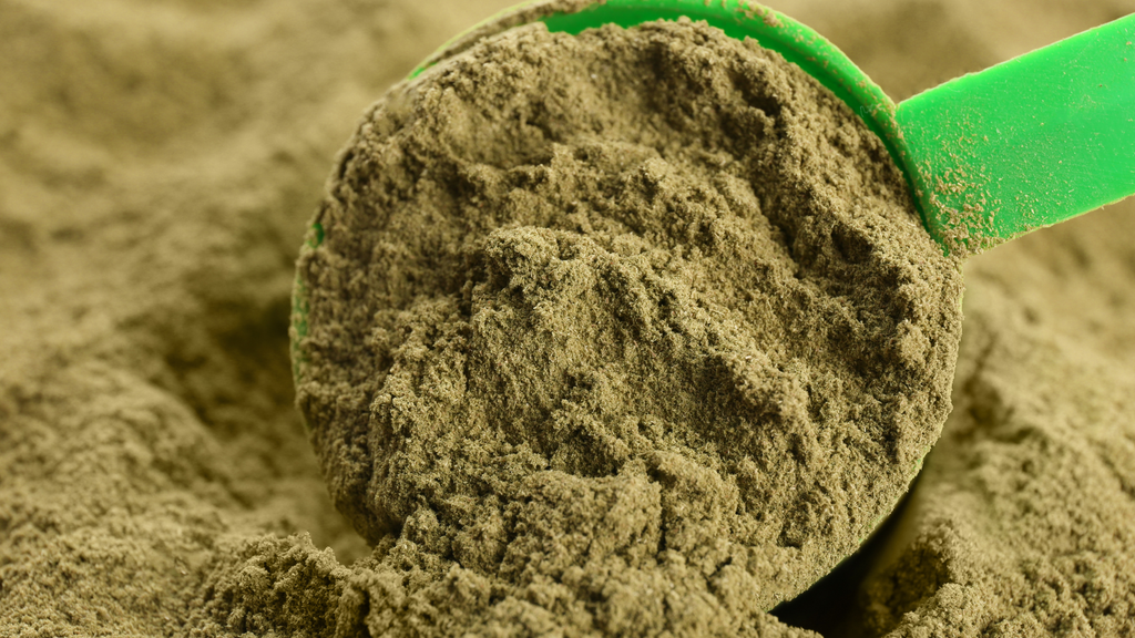 10 reasons why Hemp Powder is your best plantbased protein Health