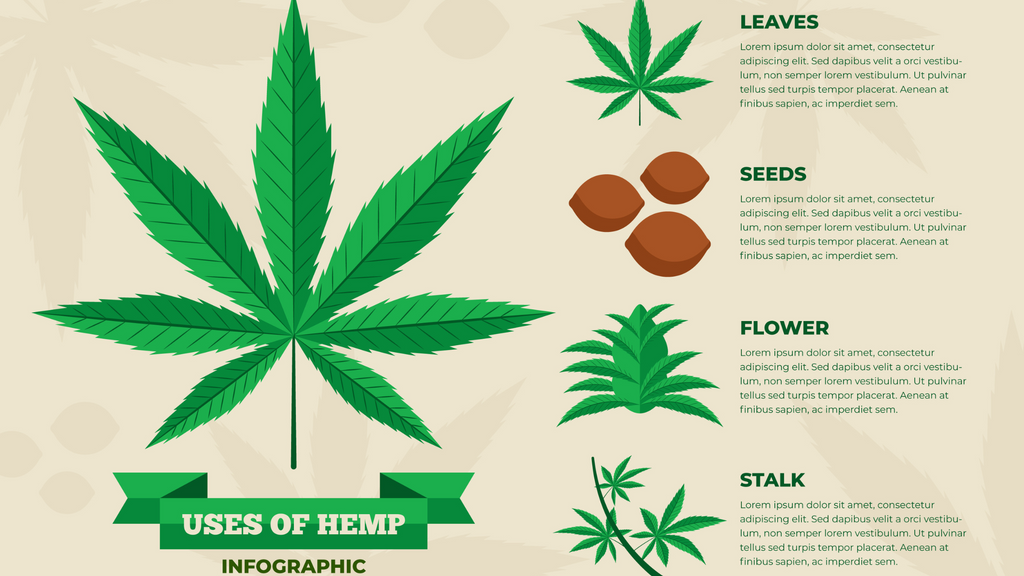 The Science Of Hemp – Health Horizons