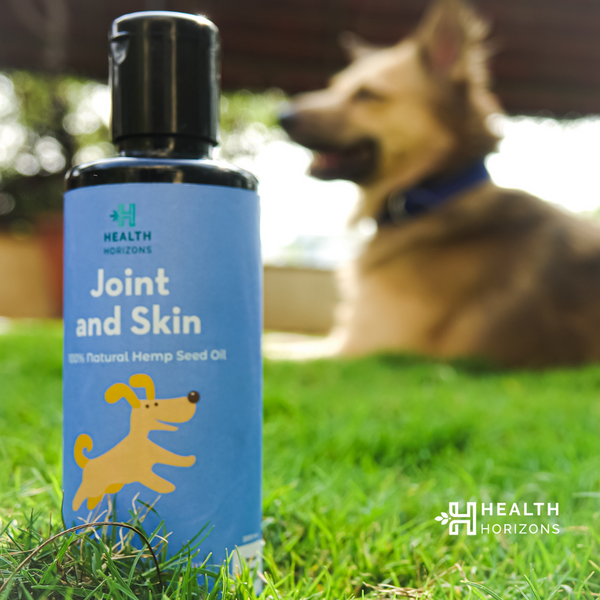 Hemp milk for dogs best sale
