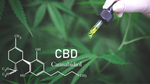 Exploring the health benefits of adding CBD oil to your wellness routine