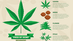 The Science of Hemp