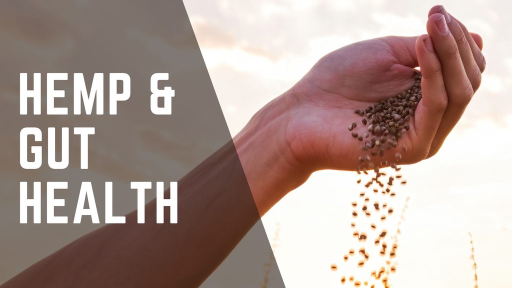 Hemp For Gut Health – Health Horizons