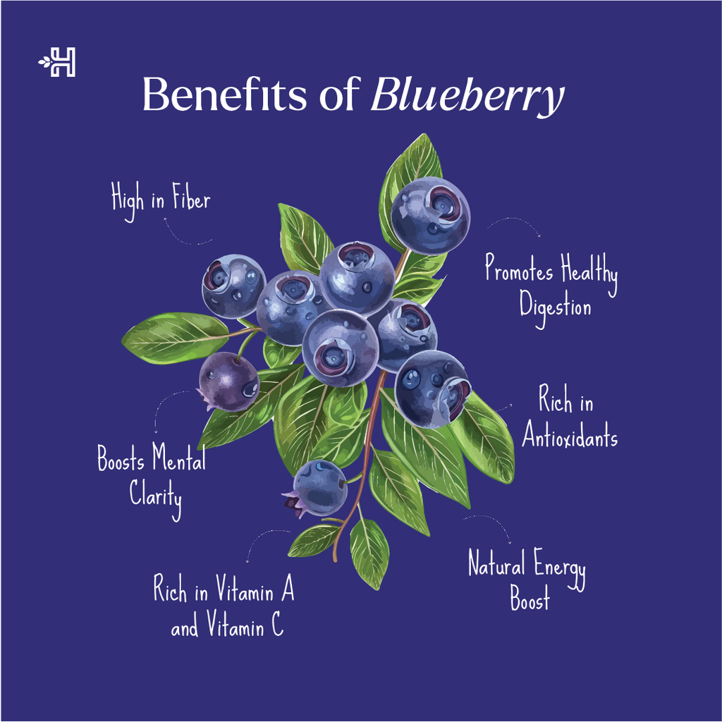 American Blueberry Dried 150g