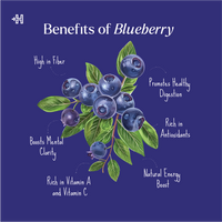 American Blueberry Dried 150g